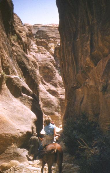 Petra05 In the Siq.  This narrow route protected Petra for centuries.