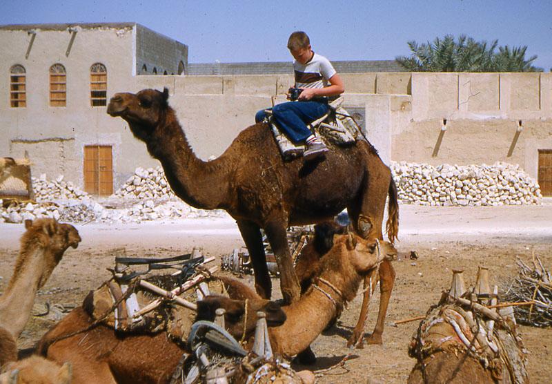 Dhahran_025 In Hofuf, on a camel.