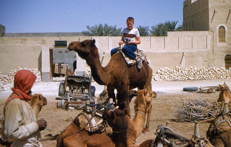 Dhahran_026 In Hofuf, on a camel.