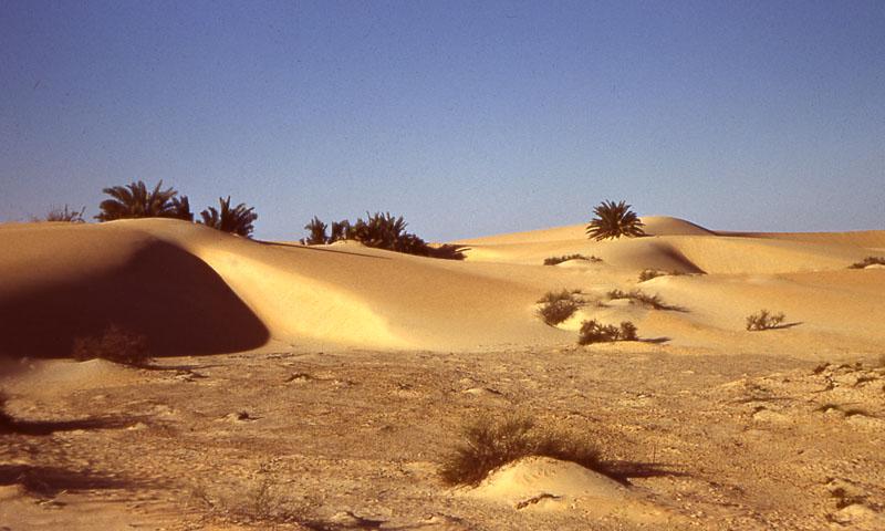 Dhahran_041 Desert scene.