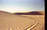 Dhahran_043 Desert scene.
