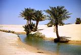 Dhahran_045 Desert scene.