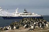 IMG_2965 The Lyubov Orlova with penguins.