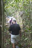 CRW_4985 Nov. 21, 2006 - Belem, Brazil.  A jungle walk.