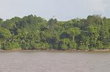 CRW_5032 Amazon River.  Unbroken jungle for miles along the riverbanks.